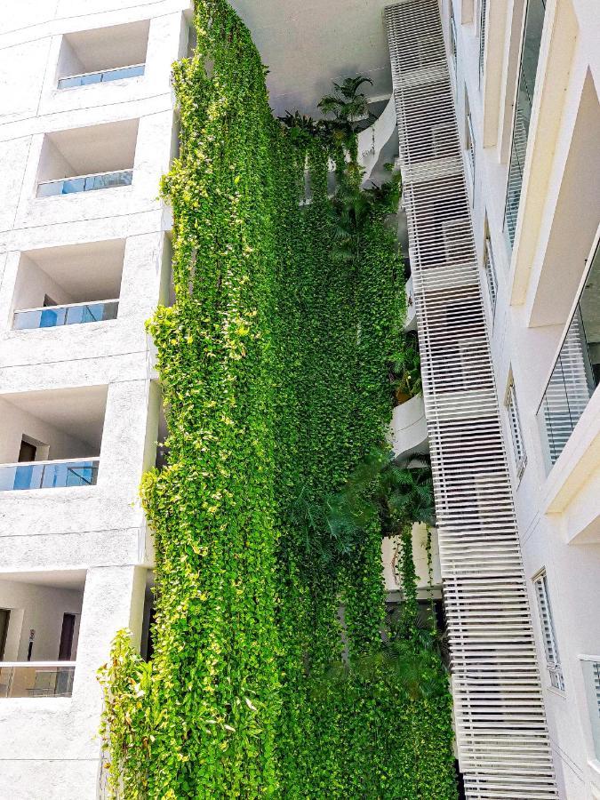 Morros Con Acceso Directo A La Playa *